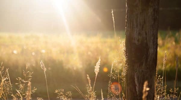 How You Can Harness the Healing Power of Sunlight